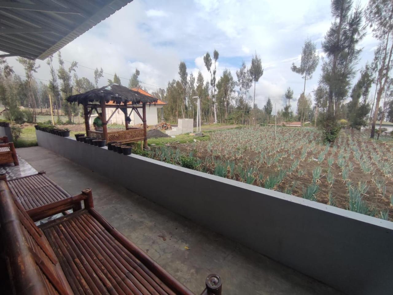 Elen Homestay By Abm Bromo Kültér fotó