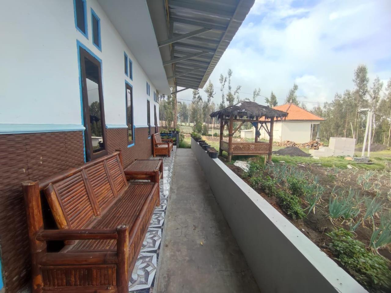Elen Homestay By Abm Bromo Kültér fotó