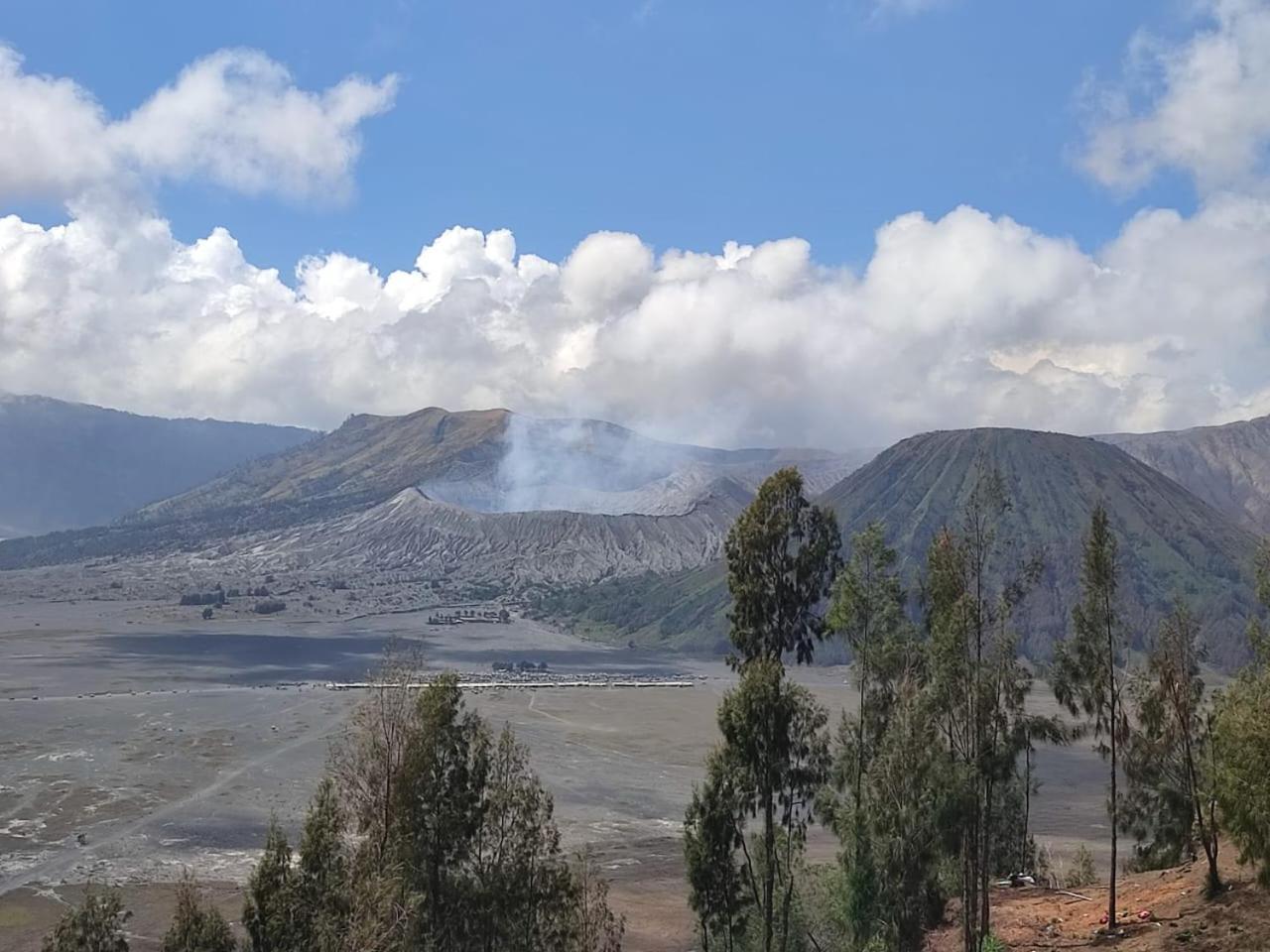 Elen Homestay By Abm Bromo Kültér fotó