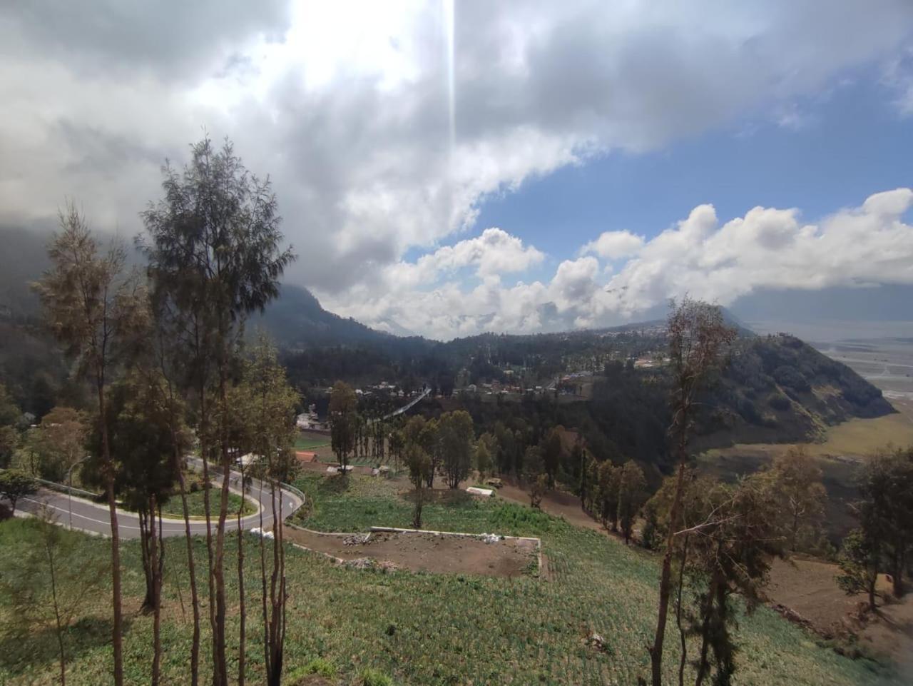 Elen Homestay By Abm Bromo Kültér fotó